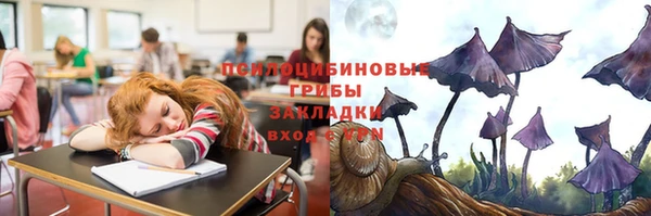 соль ск Гусиноозёрск