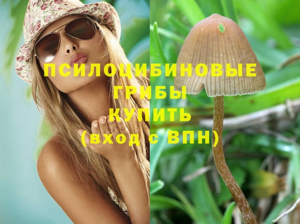 круглые Вязники