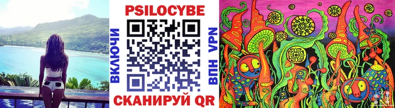 Псилоцибиновые грибы Cubensis Купить где Жуков